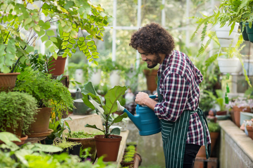 man watering his plant inside his greenhouse