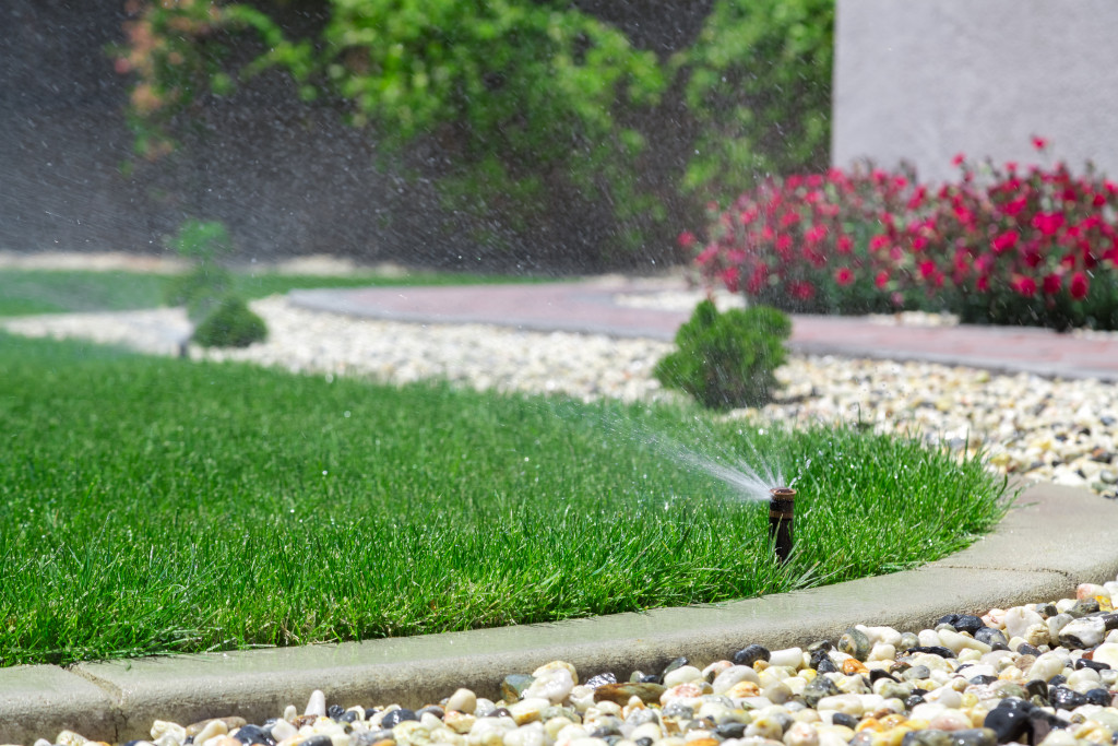 a sprinkler and green grass