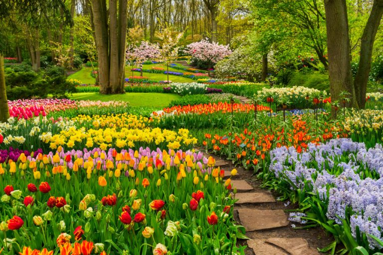 bright and colorful garden