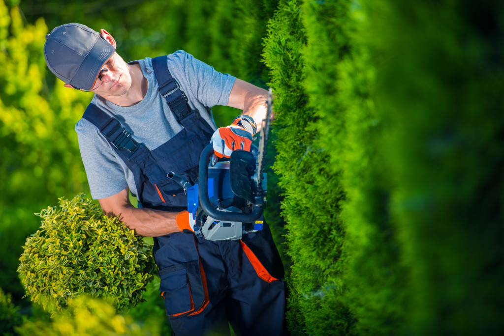 hedge trimmer working