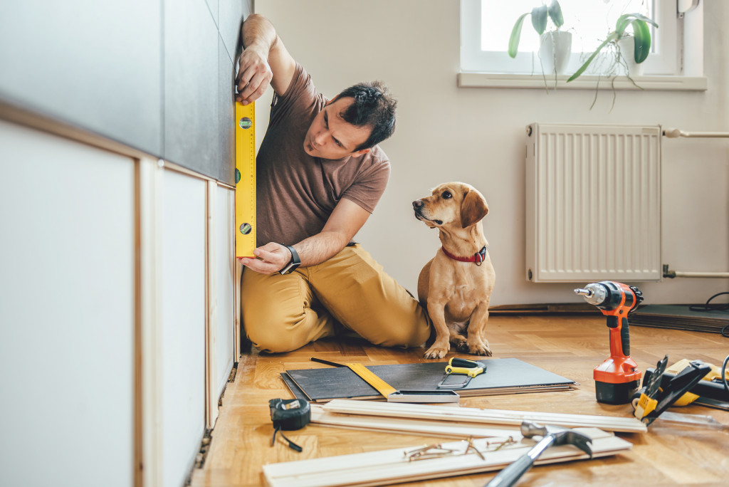 A man renovating the interiors of his home with his dog beside him