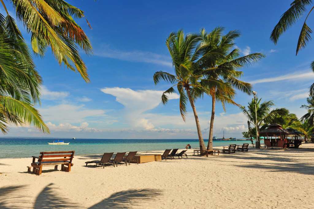white sand beach in Cebu, Philippines with coconut trees and bench in the shoreline