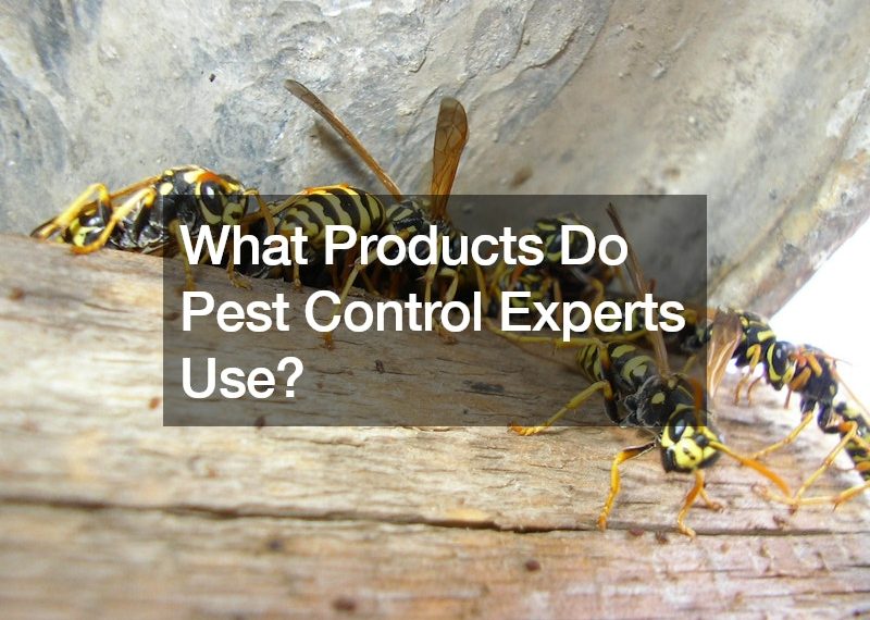 What Products Do Pest Control Experts Use?