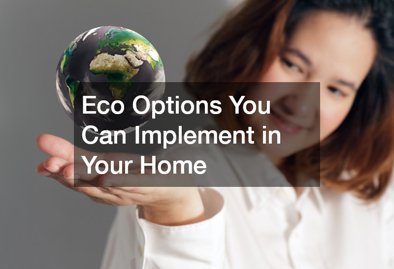 Eco Options You Can Implement in Your Home